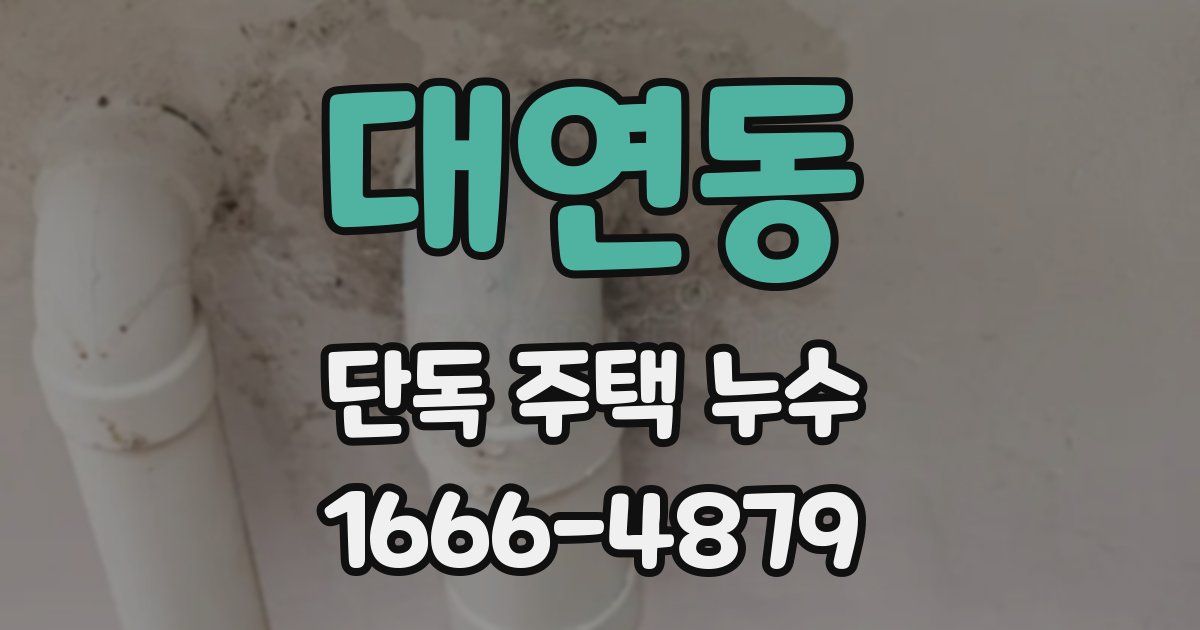 대연동 단독 주택 누수