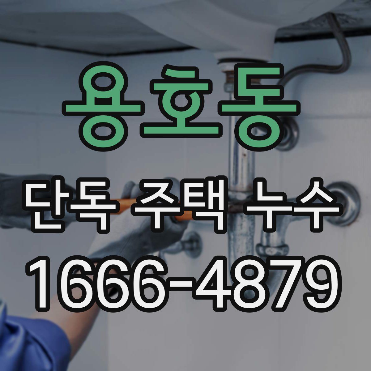 용호동 단독 주택 누수