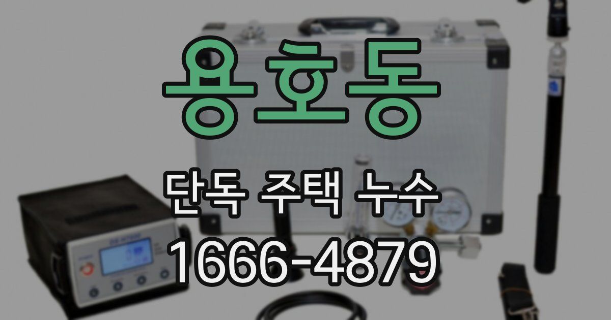 용호동 단독 주택 누수