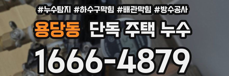 용당동 단독 주택 누수