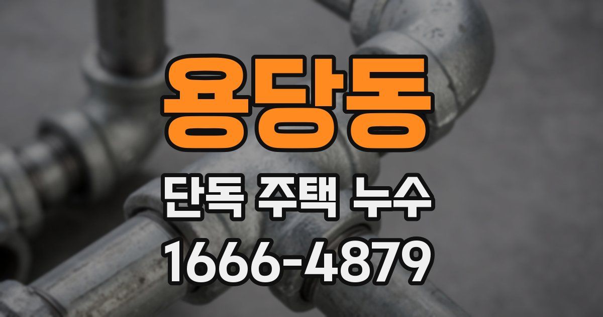 용당동 단독 주택 누수
