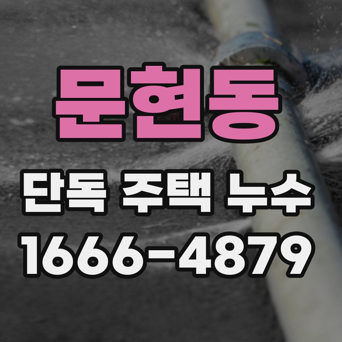문현동 단독 주택 누수