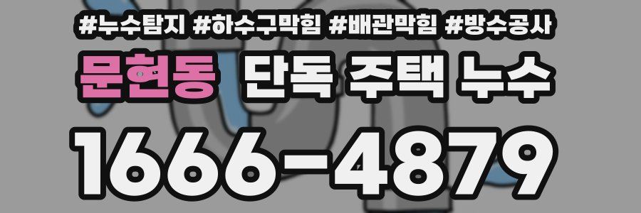 문현동 단독 주택 누수