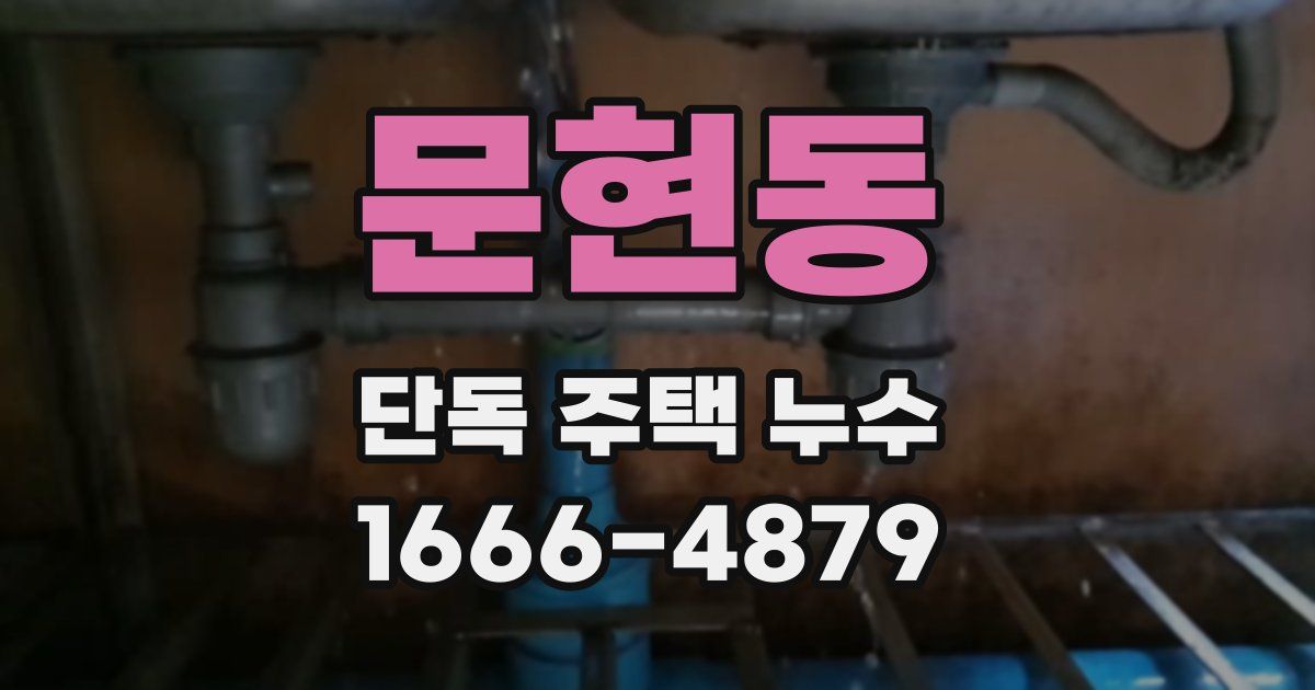 문현동 단독 주택 누수