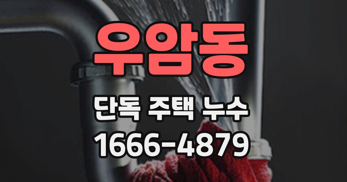 우암동 단독 주택 누수