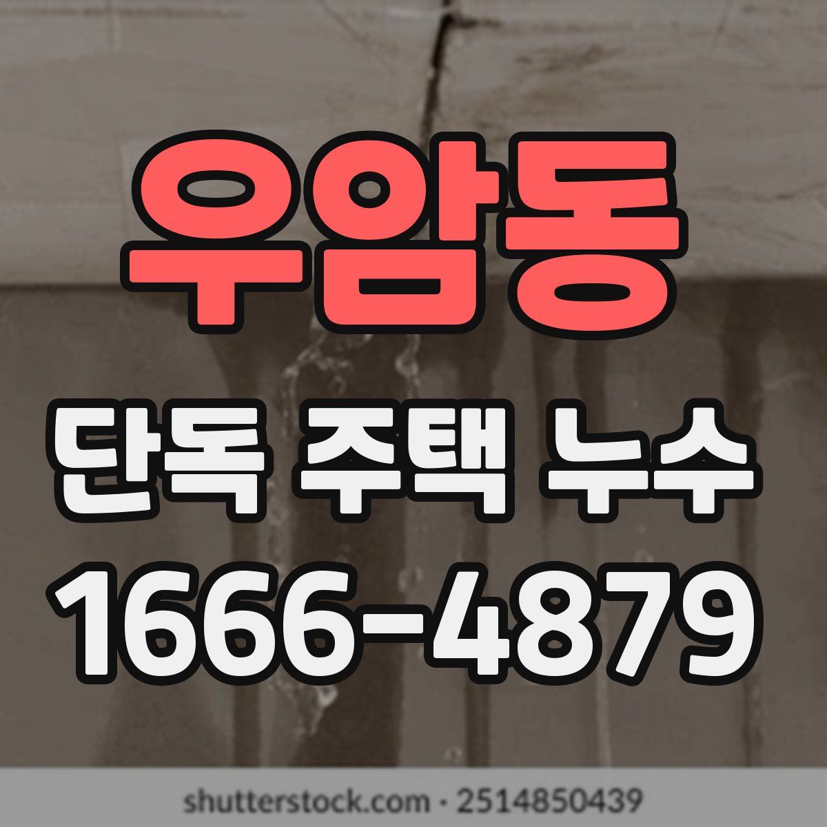 우암동 단독 주택 누수