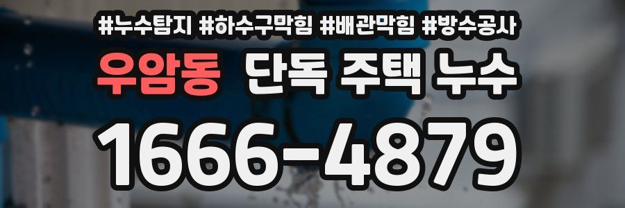 우암동 단독 주택 누수