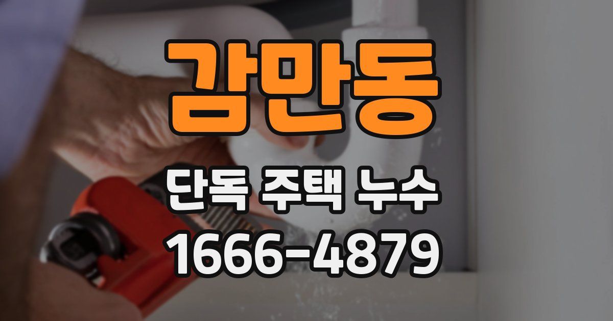 감만동 단독 주택 누수