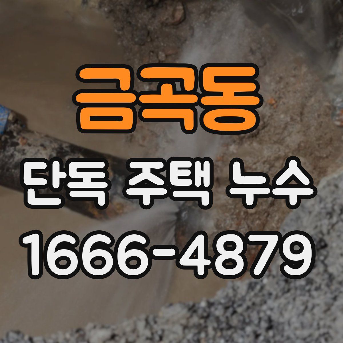 금곡동 단독 주택 누수