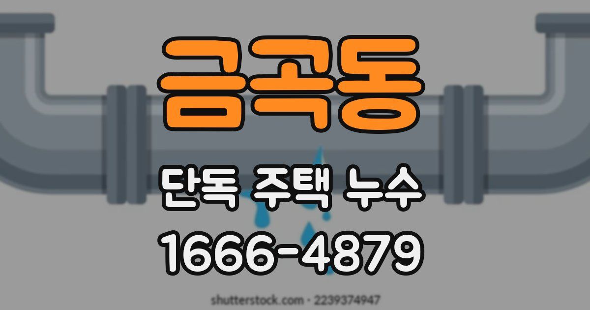 금곡동 단독 주택 누수