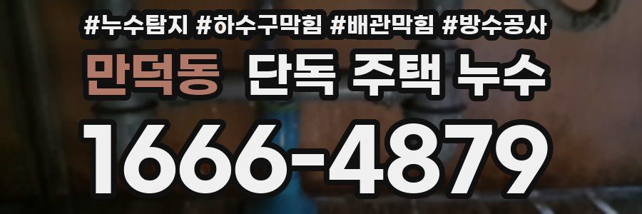 만덕동 단독 주택 누수