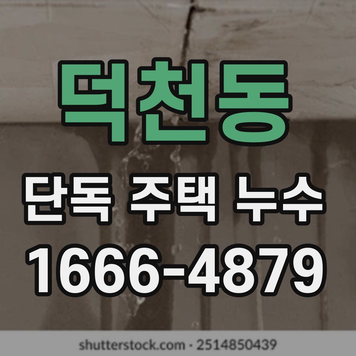 덕천동 단독 주택 누수 배관과 방수 중 어디를 먼저 볼까