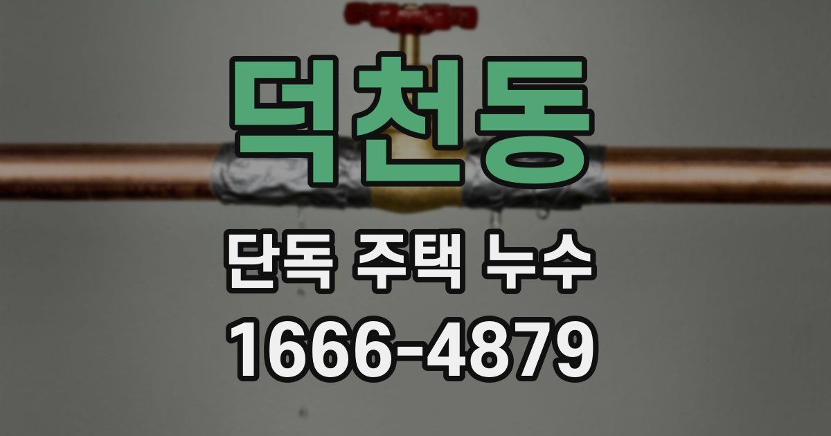 덕천동 단독 주택 누수
