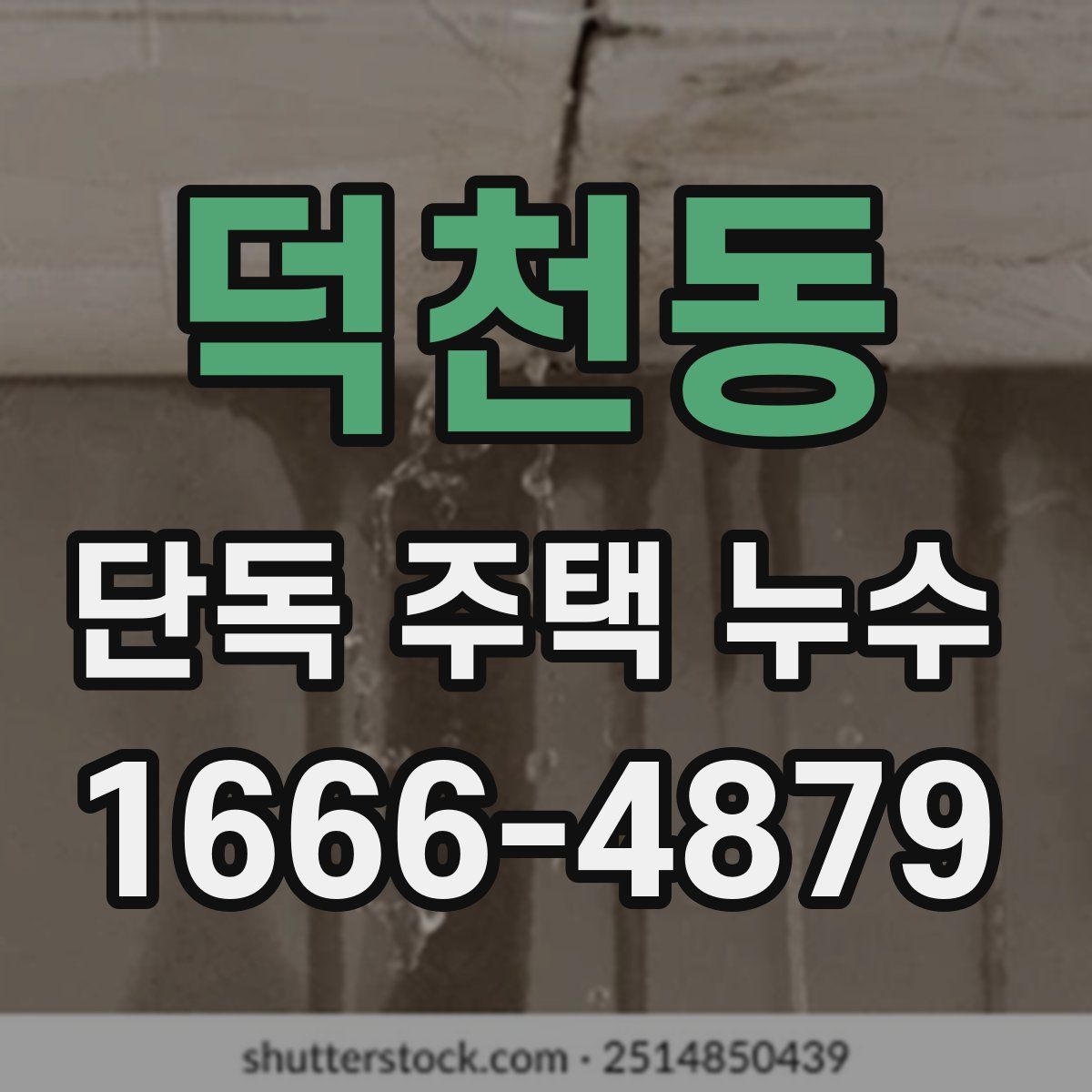 덕천동 단독 주택 누수