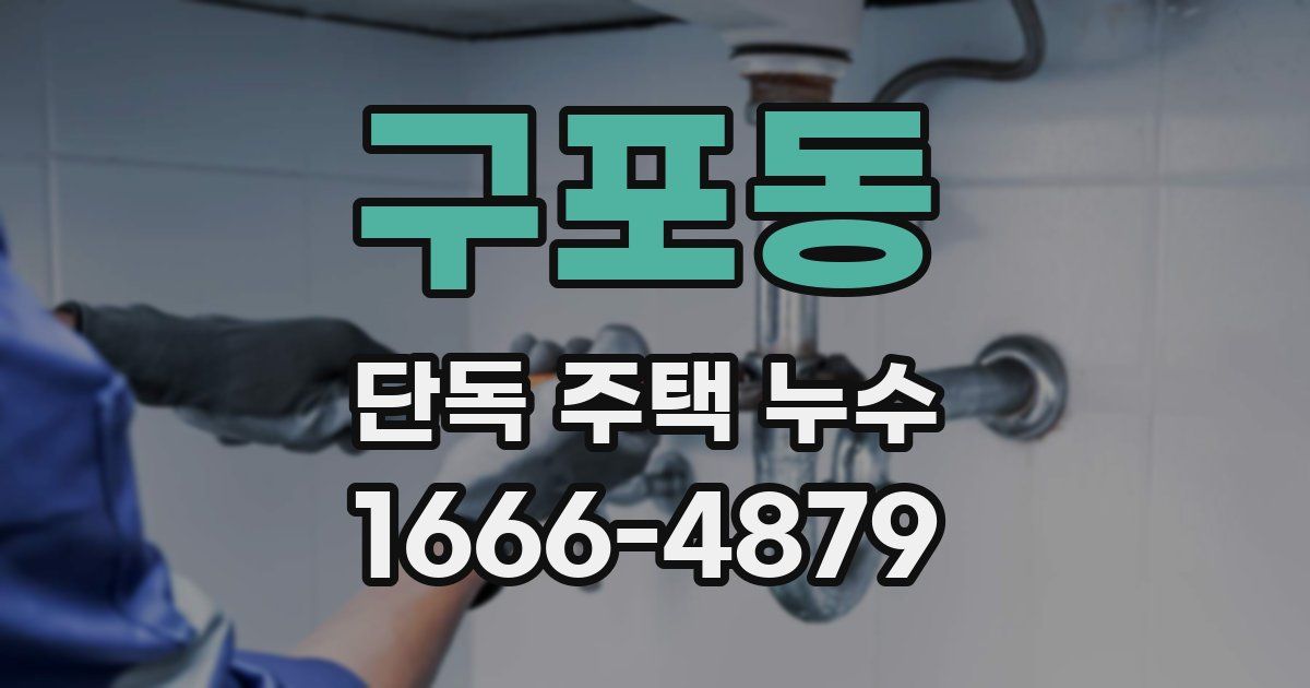구포동 단독 주택 누수