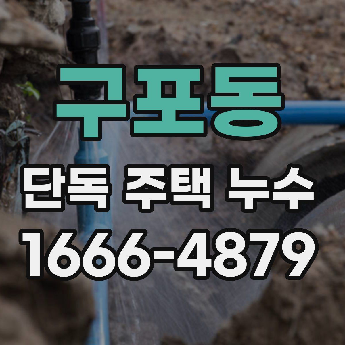 구포동 단독 주택 누수