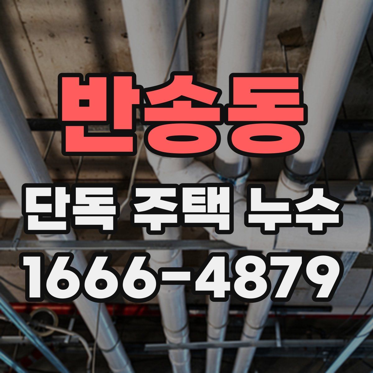 반송동 단독 주택 누수