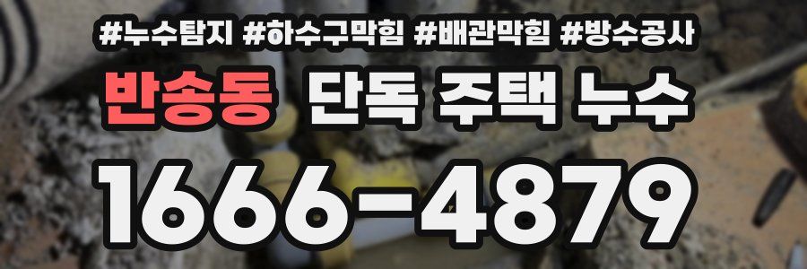 반송동 단독 주택 누수