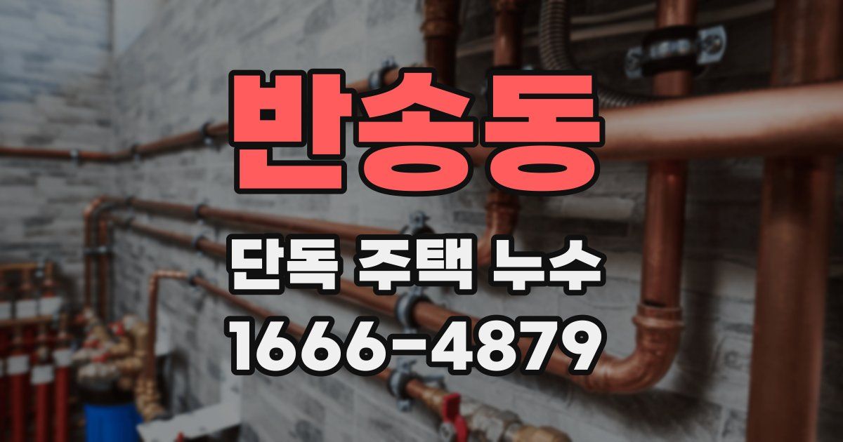 반송동 단독 주택 누수