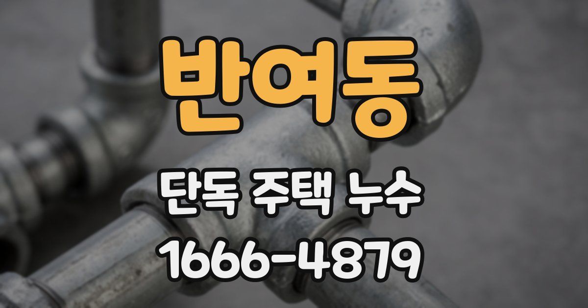 반여동 단독 주택 누수