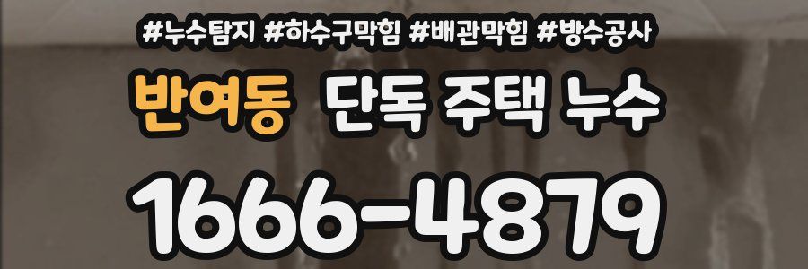 반여동 단독 주택 누수