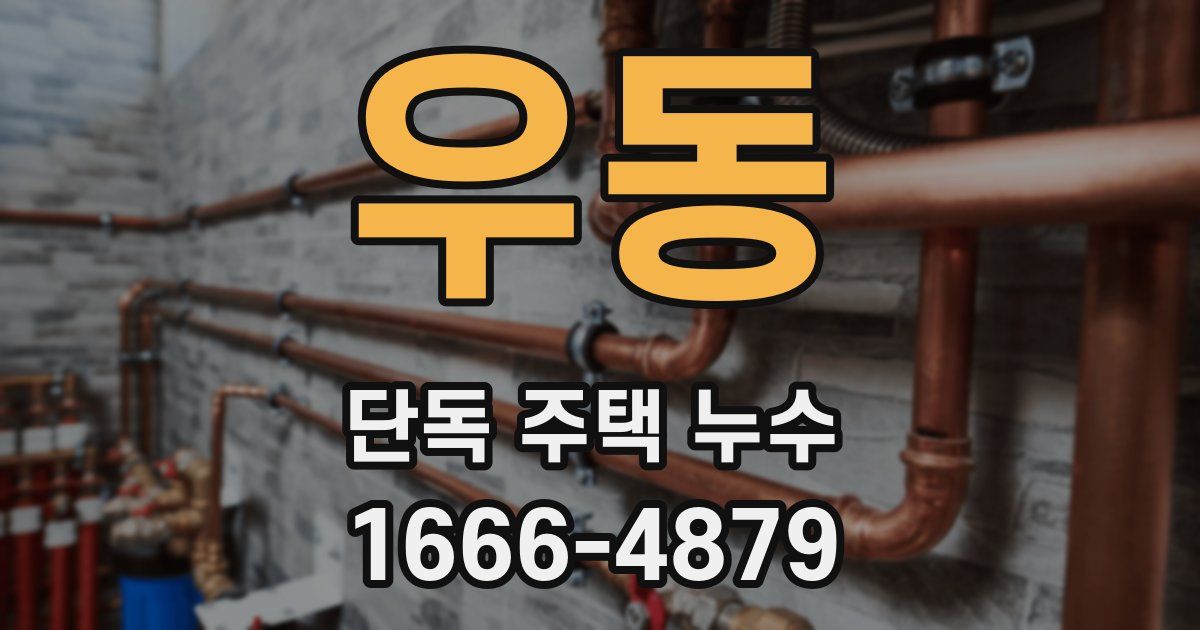 우동 단독 주택 누수