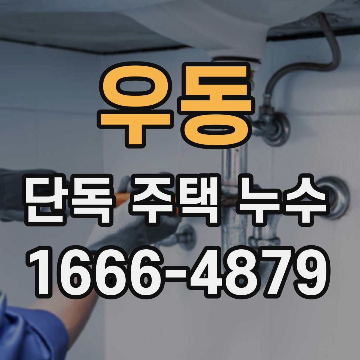 우동 단독 주택 누수