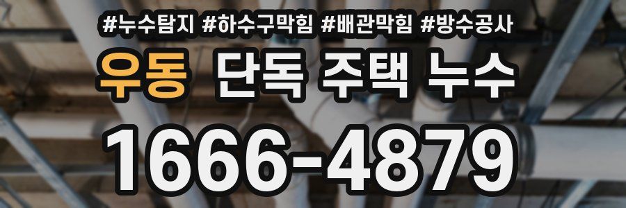 우동 단독 주택 누수