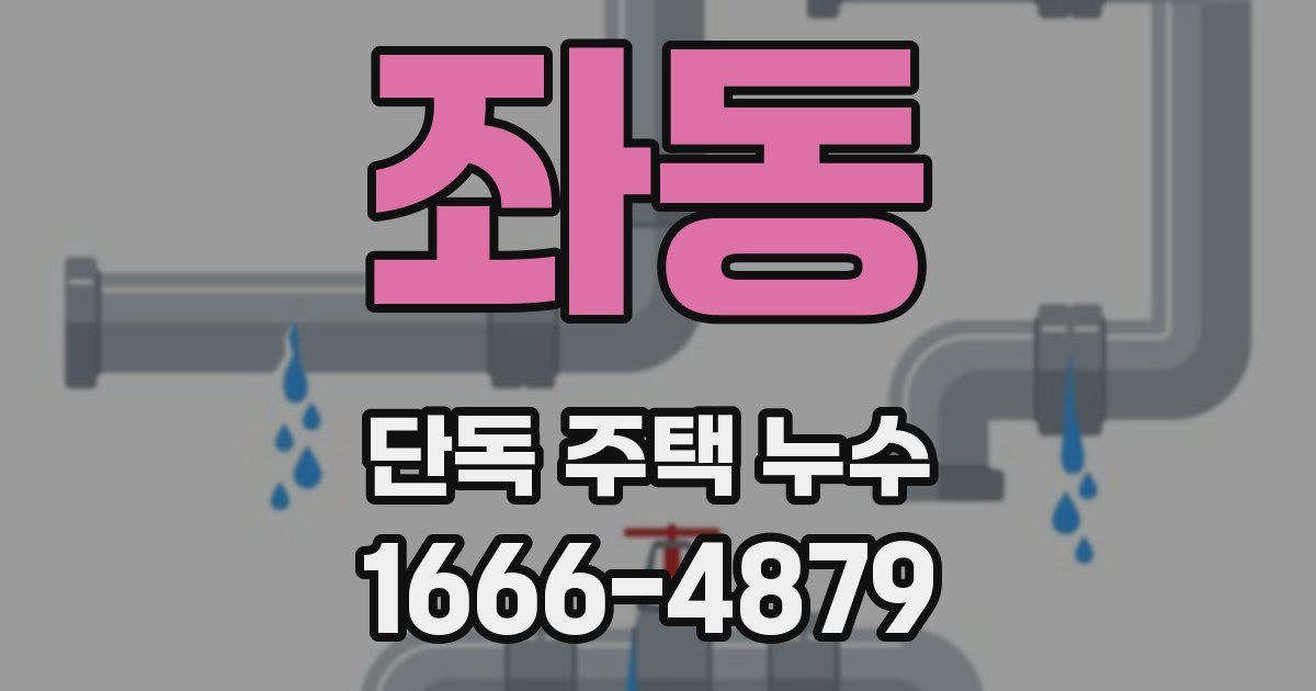 좌동 단독 주택 누수
