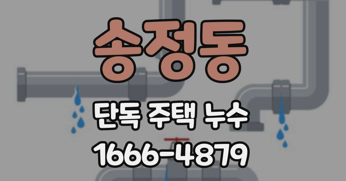 송정동 단독 주택 누수