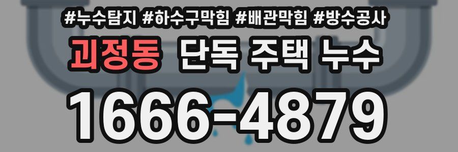 괴정동 단독 주택 누수