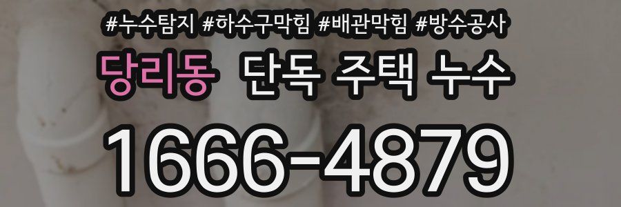 당리동 단독 주택 누수