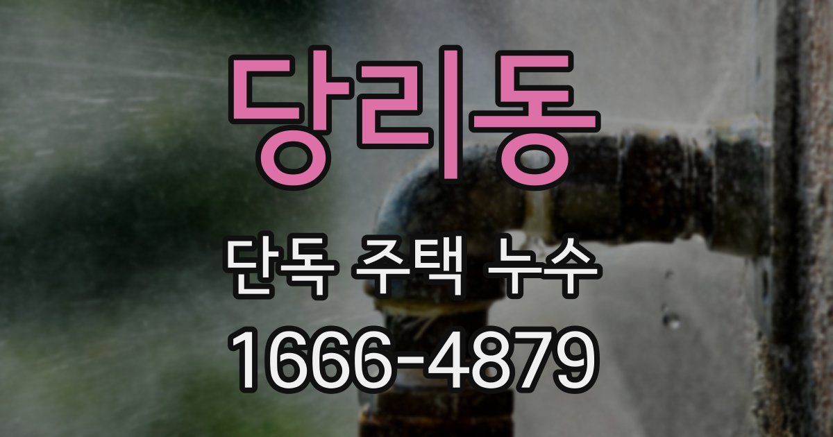 당리동 단독 주택 누수