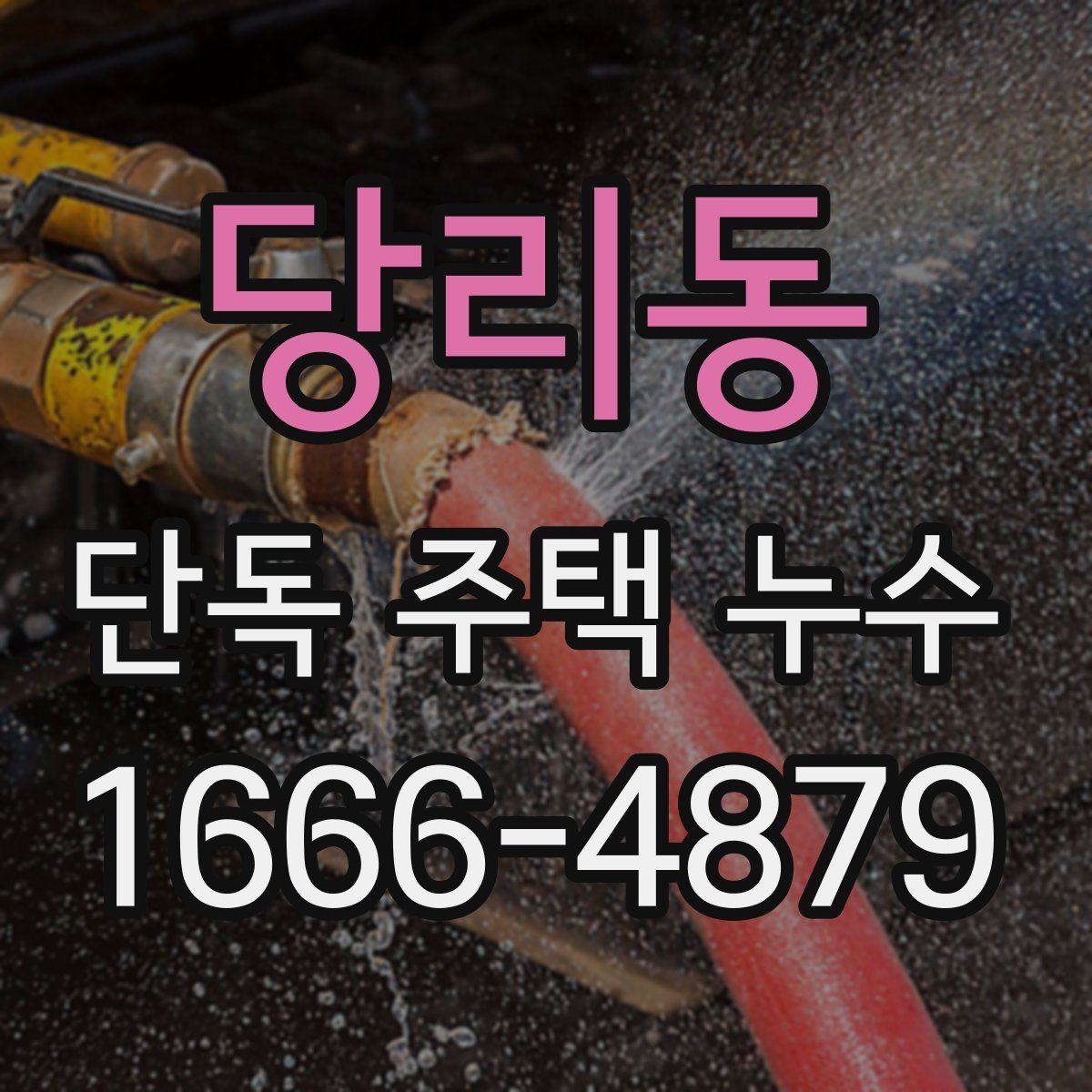 당리동 단독 주택 누수