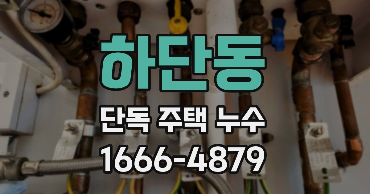 하단동 단독 주택 누수