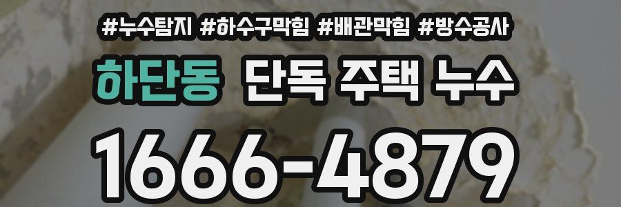 하단동 단독 주택 누수