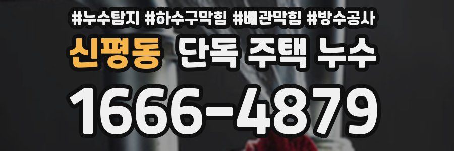 신평동 단독 주택 누수