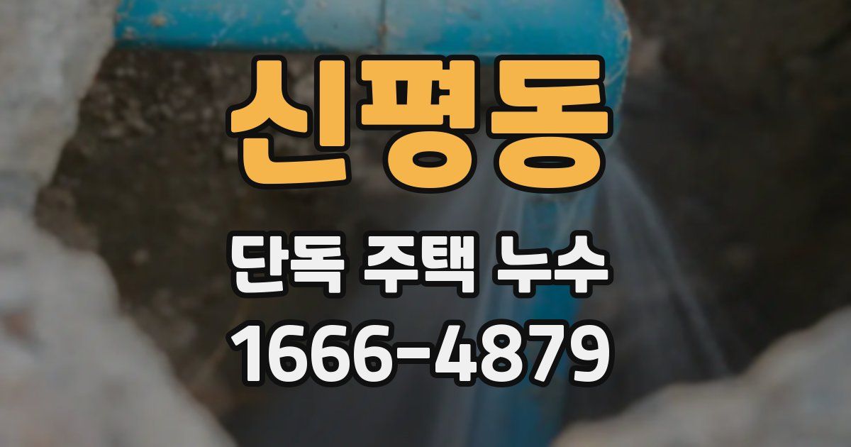 신평동 단독 주택 누수