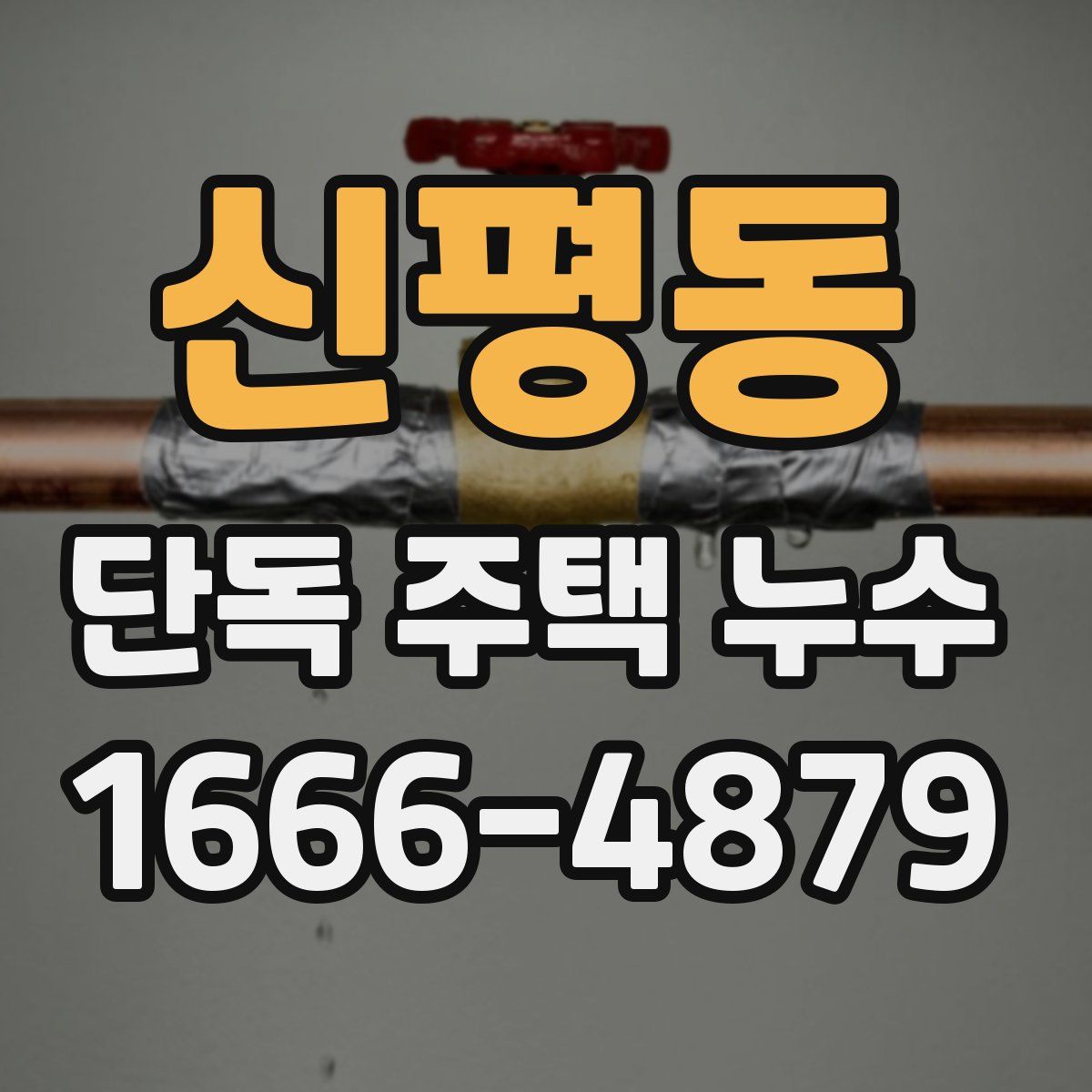 신평동 단독 주택 누수