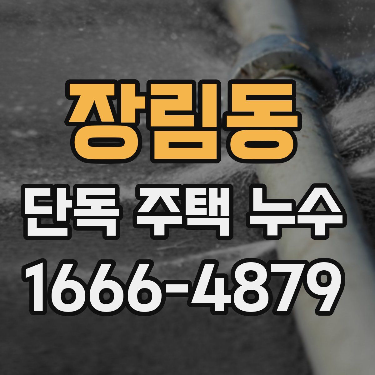 장림동 단독 주택 누수
