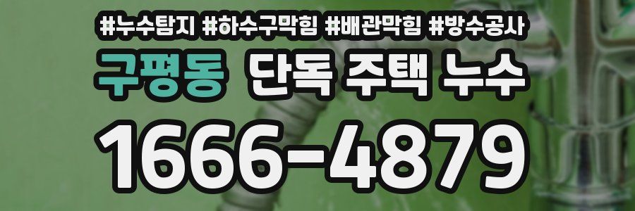 구평동 단독 주택 누수