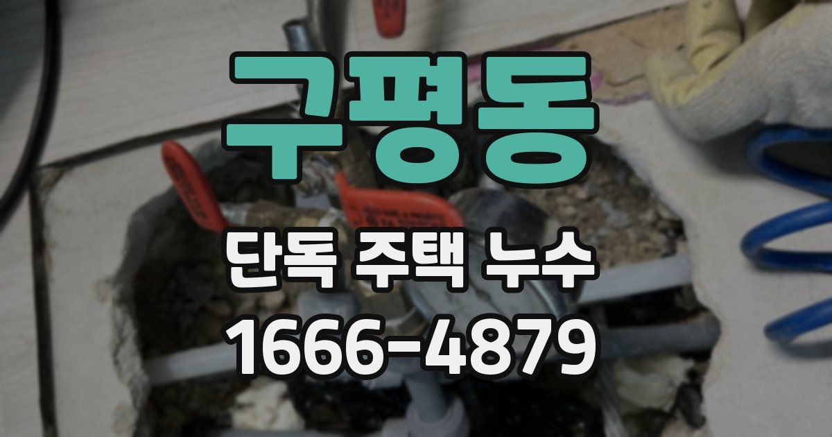구평동 단독 주택 누수