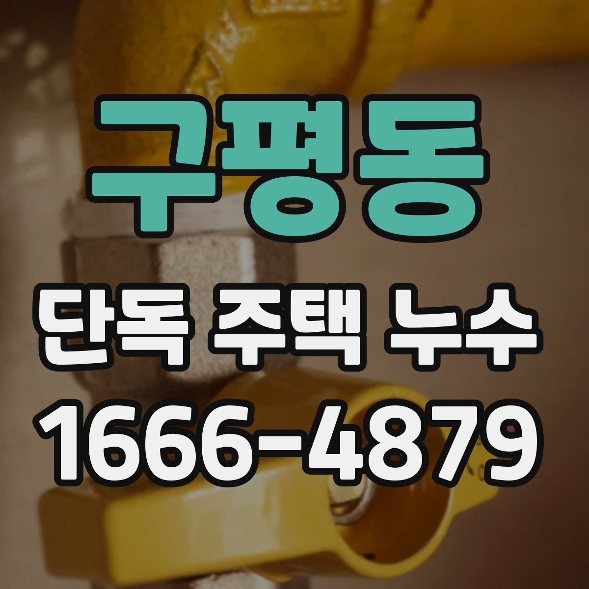 구평동 단독 주택 누수