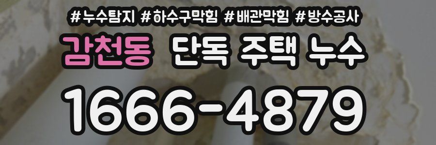 감천동 단독 주택 누수