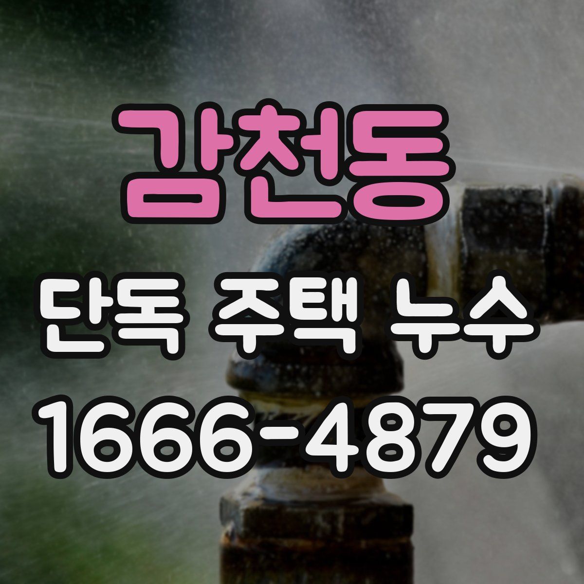감천동 단독 주택 누수