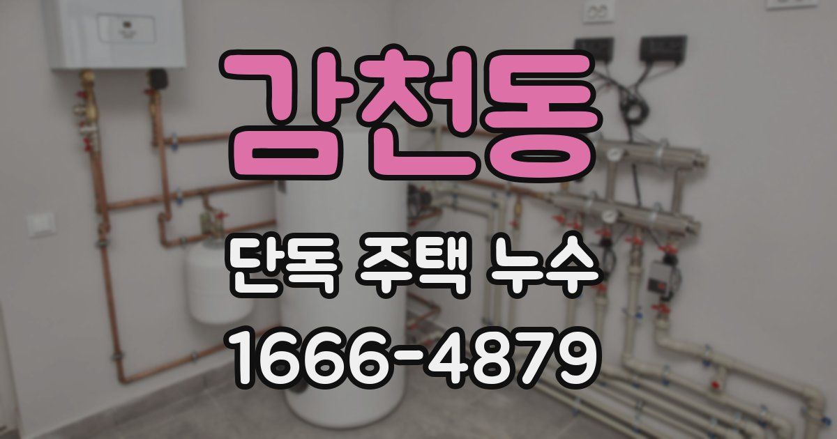 감천동 단독 주택 누수