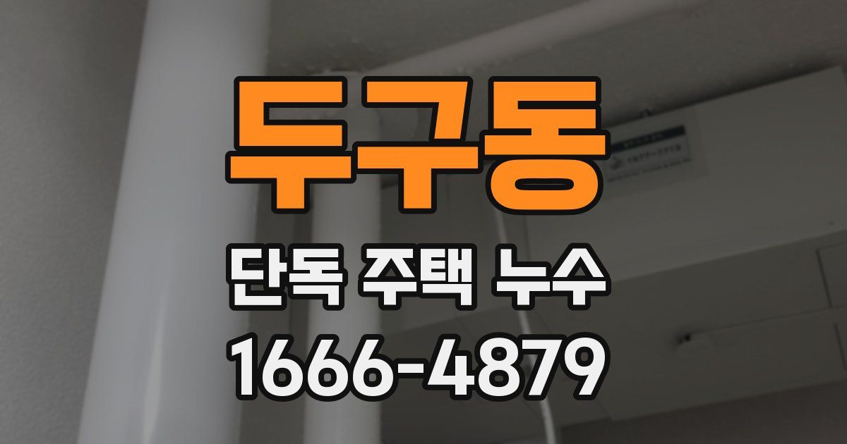 두구동 단독 주택 누수