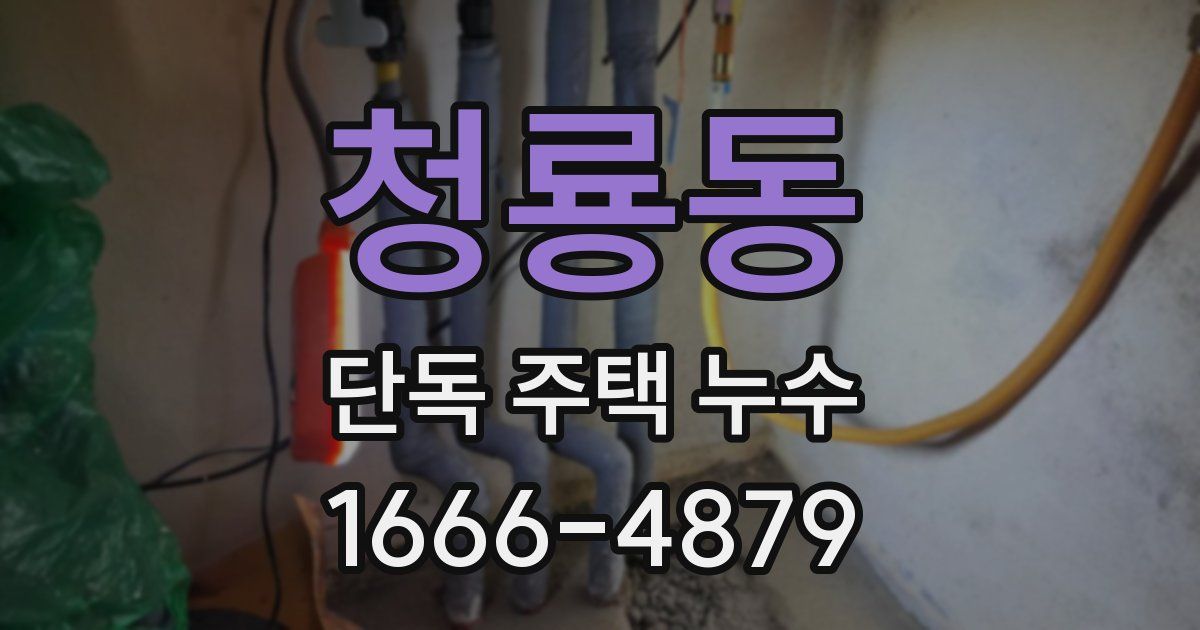 청룡동 단독 주택 누수