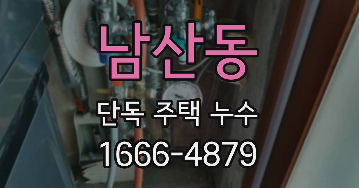 남산동 단독 주택 누수