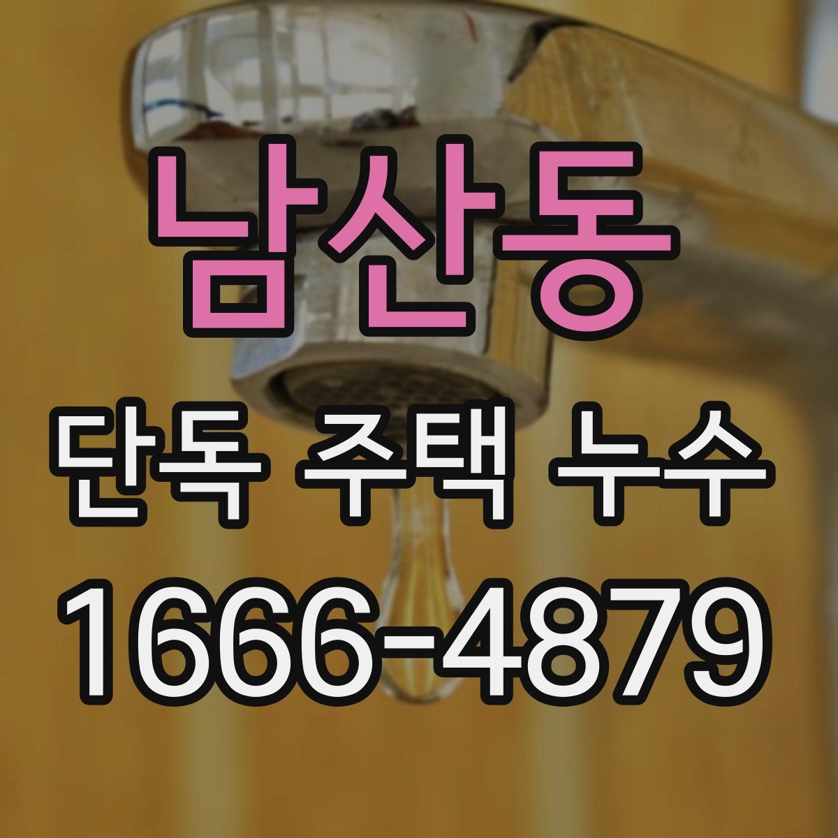 남산동 단독 주택 누수